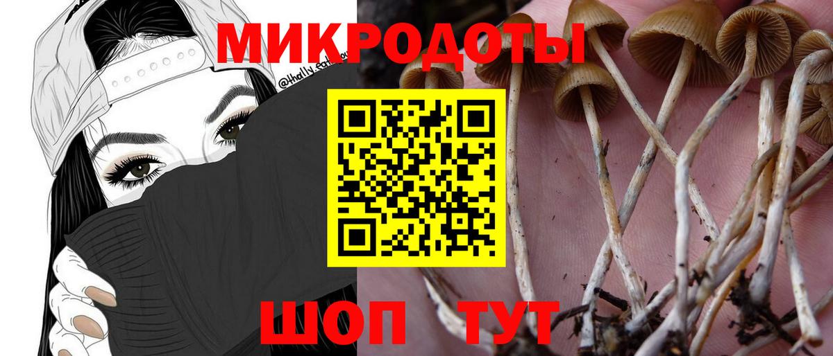 Псилоцибиновые грибы GOLDEN TEACHER Березники